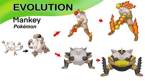 Pokemon Mankey Evolution Chart 的图像结果