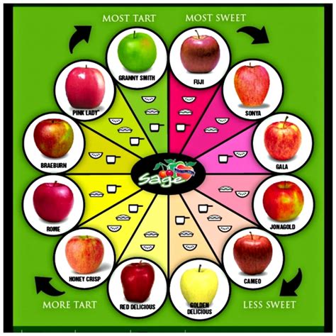 Health Benefits Of Apples And Why Apples Are A Great Food For Kids ...