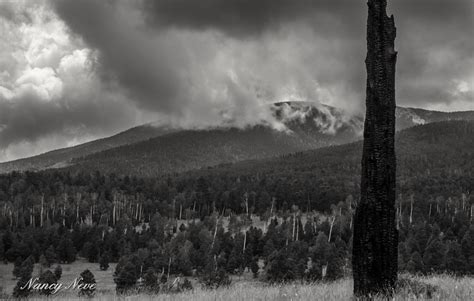 Flagstaff Az Elevation at Adriana Fishburn blog