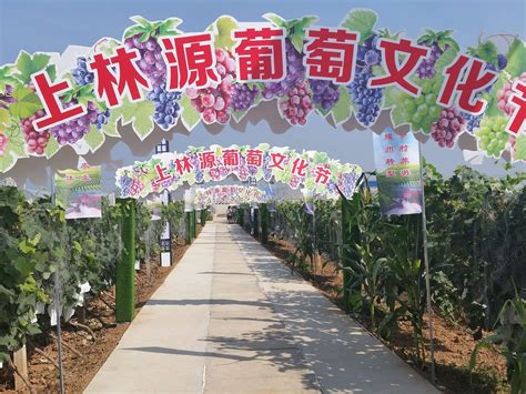 铜川市耀州区首届乡村旅游节正式启动