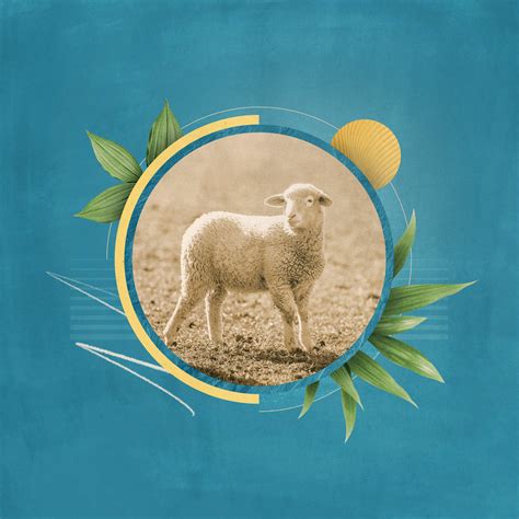 John 10 10 Interpretation