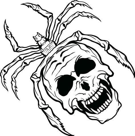 Illustration of skull with spider legs. 23814791 Vector Art at Vecteezy