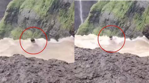 Viral Video: Drunk Man Falls Into Maharashtra's Kalu Massive Waterfall ...