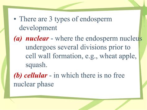 Seed Development 的图像结果