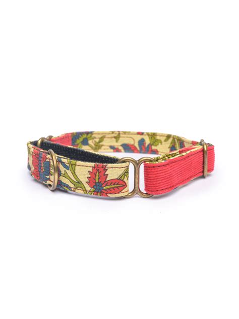 Red Martingale Dog Collar | PetWale Medium Size