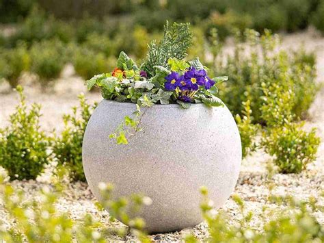 What is a Planter? - Primrose Garden Club | Expert Tips, Advice ...