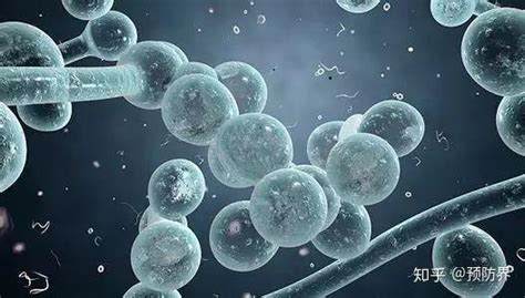 从超级细菌到超级真菌——人类抗感染的未来在于免疫 - 知乎