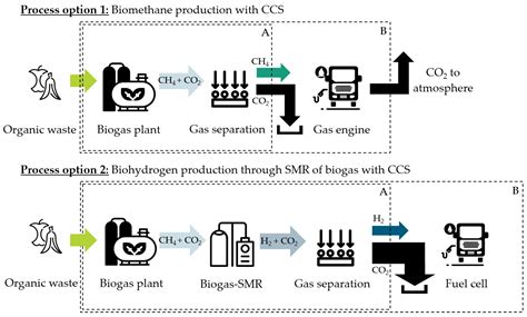 Perspectives of Biogas Plants as BECCS Facilities: A Comparative ...