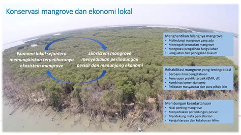 Mangrove dan Adaptasi Perubahan Iklim di Kawasan Pesisir (Mangroves and Climate Change ...