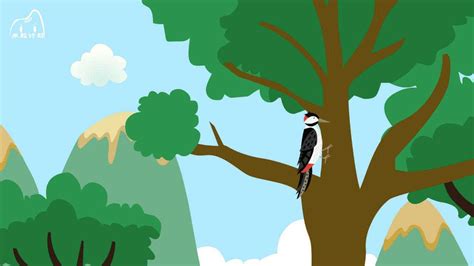 啄木鸟的作用 啄木鸟对人们的作用_华夏智能网