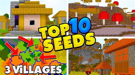 Image result for Seeds for Minecraft Java Edition