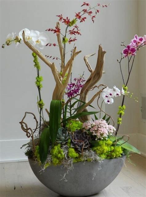 55 Best Orchid Arrangements with Succulents and Driftwood - Decomagz ...