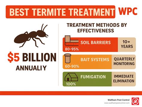 Best Termite Treatment: Top 5 Powerful Picks for 2025