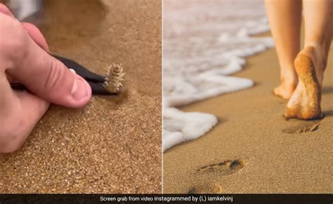 समुद्र किनारे नंगे पैर चलने के शौकीन जरूर देख लें ये वीडियो, पैरों के ...