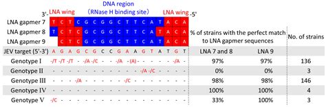 Antiviral Efficacy of RNase H-Dependent Gapmer Antisense ...