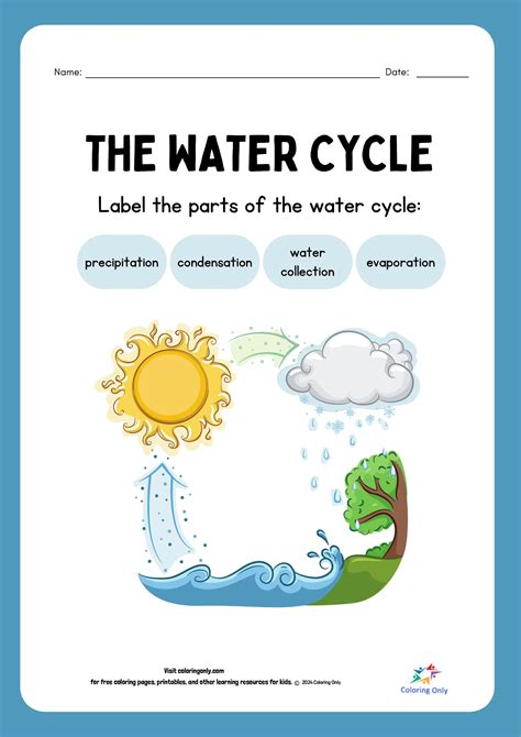 Water Cycle Free Printable - process of the water cycle