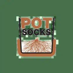 Image result for Autopot Root Control Disc