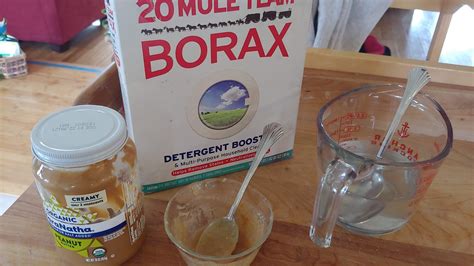 How To Make A Borax Ant Trap