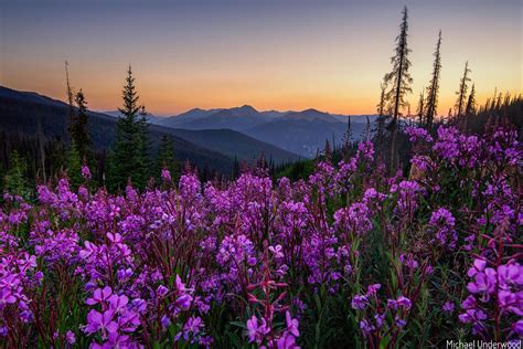 Sunset on Slumgullion Pass in the San Juan Mountains of Colorado [OC ...