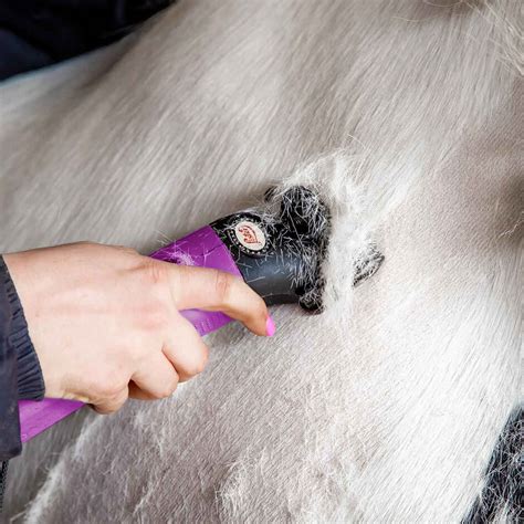 Lister Star Horse Clippers at Conrad Williams blog