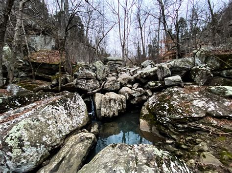 Dixon Springs State Park Visitor Guide