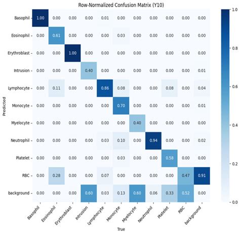 AI-Driven Automated Blood Cell Anomaly Detection: Enhancing Diagnostics ...