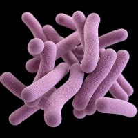 Docking of Cell Division Protein FtsZ from Mycobacterium Tuberculosis ...