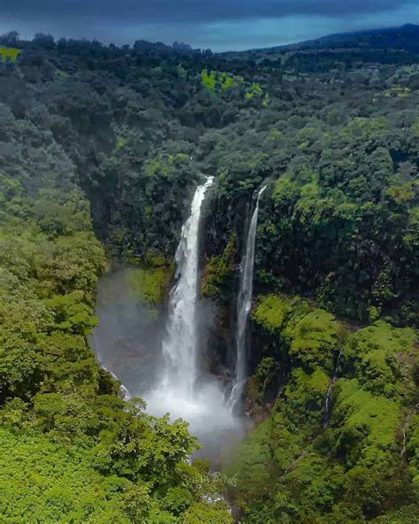 Kaas Plateau Tour with Sajjangad & Thoseghar Waterfall 2026