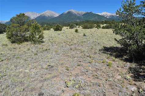 Piñon-Juniper Forests - Forest Service Employees for Environmental Ethics