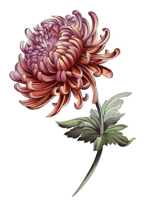 Pin by Md Abu taleb on digital motif | Flower sketches, Botanical ...