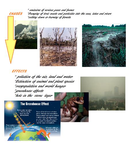 Bad Environment Examples 的图像结果