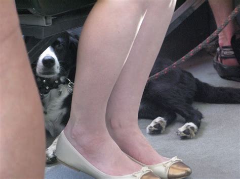 My bucket list: Hideous Swedish swear words