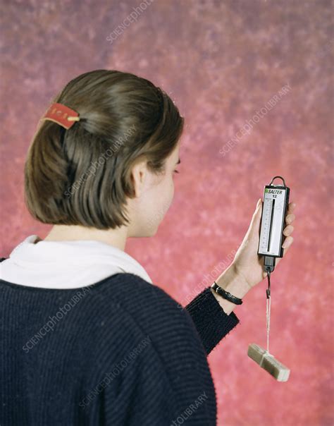 Image result for Spring Balance Experiment