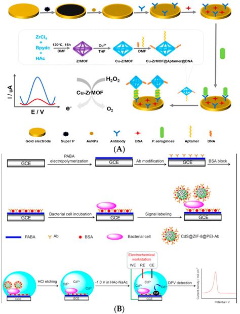 Biosensors Coupled with Signal Amplification Technology for the ...