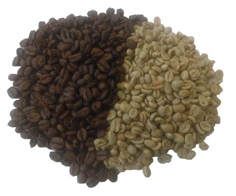 Unroasted Green Coffee Beans UK
