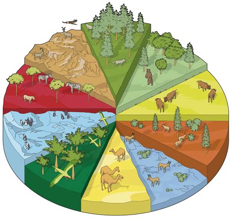 Diverse Habitats Of The Uk: A Guide To Our Wild Landscapes
