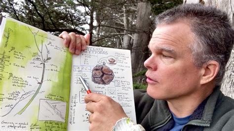 Nature Journals 的图像结果