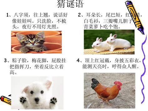 【小学赛课一等奖课件】Animals主题如何进行听、说、读、写联动教学？ - 知乎