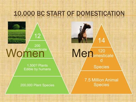 Neolithic Revolution Examples 的图像结果