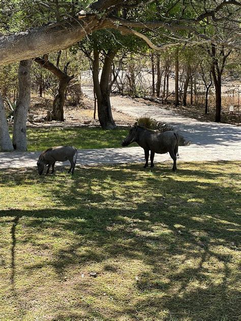 THE MUSHARA OUTPOST (Etosha National Park) - Lodge Reviews, Photos ...