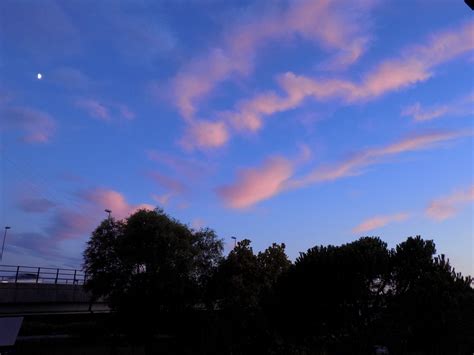 HOTEL GARNI DA VITO (Jesolo) - Hotel Reviews, Photos, Rate Comparison ...