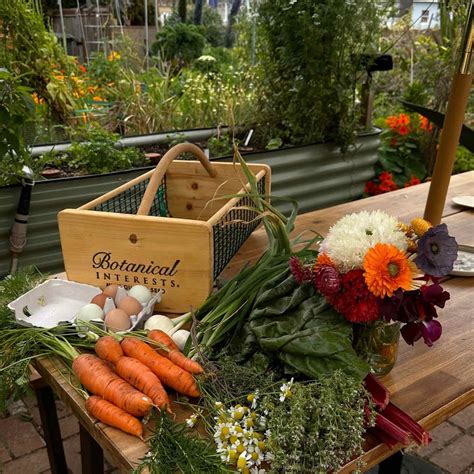 Harvest Basket – Epic Gardening