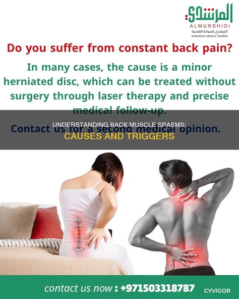 Understanding Back Muscle Spasms: Causes And Triggers | CyVigor