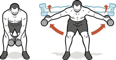 Dumbbell Reverse Fly
