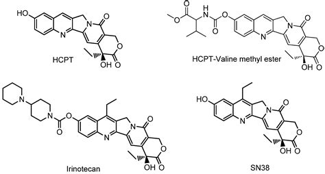 Synthesis and Biological Evaluation of Novel Water-Soluble Poly ...
