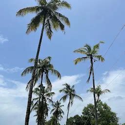 Parra road, Photography point - Tourist attraction - Parra - Goa | Yappe.in