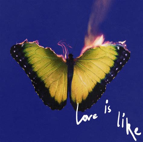 Maroon 5 moves like old (ish) times on latest album - cleveland.com