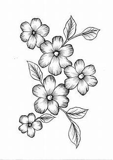 malvorlagen blumen pdf flowers pdf coloring page in 2020 leichte malvorlagen blumen pdf flowers pdf coloring page in 2020 leichte