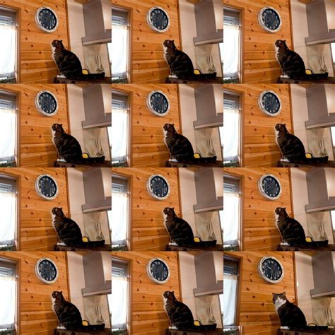 Time Meme 的图像结果