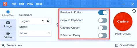 Image result for How to Capture Screen Using Snagit